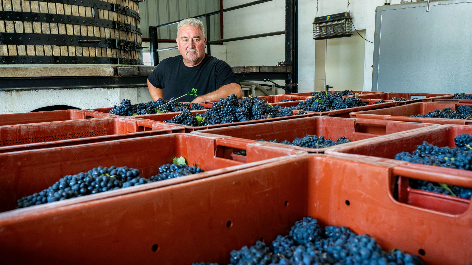 champagne Christophe-Lefevre4