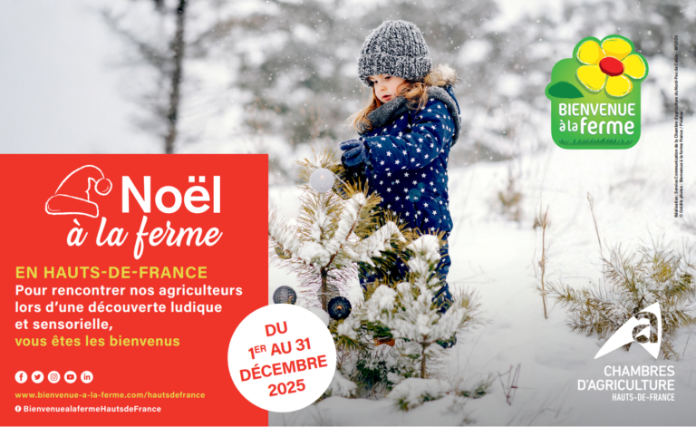noel à la ferme