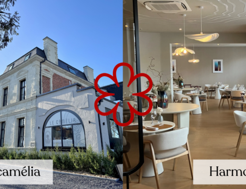 Deux nouvelles étoiles Michelin illuminent les Hauts-de-France