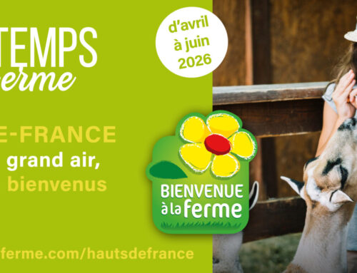 Printemps à la ferme en Hauts-de-France !