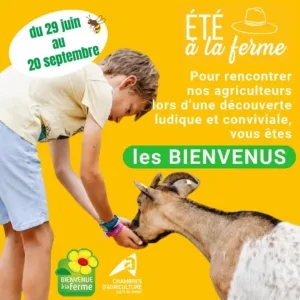 BAF_etealaferme