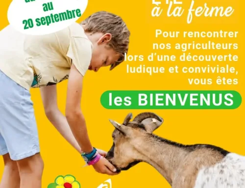 Été à la ferme en Hauts-de-France !