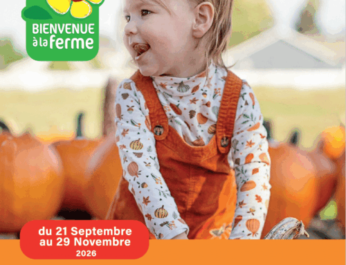Automne à la ferme en Hauts-de-France !